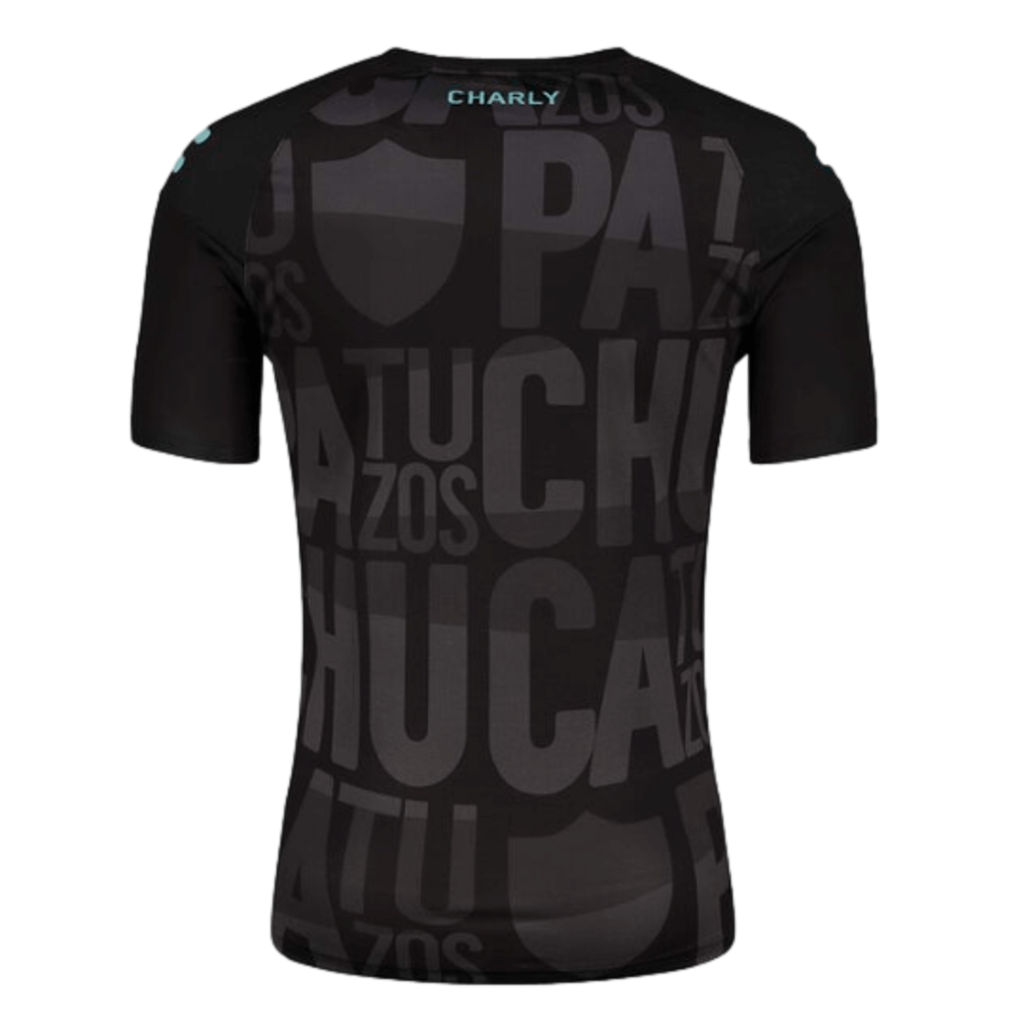 Charly Pachuca 23/24 Training Jersey 5095092-BLK