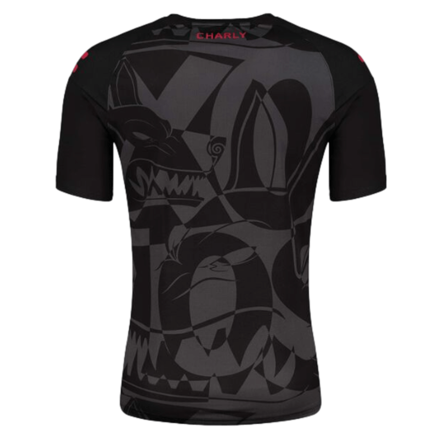 Charly Xolos 23/24 Training Jersey 5095096