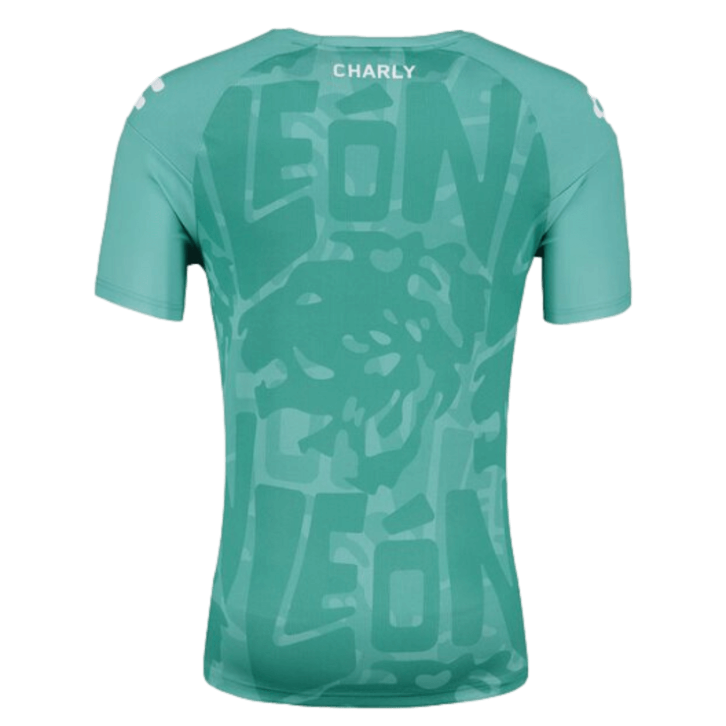 Charly León 23/24 Training Jersey 5095097-GRN
