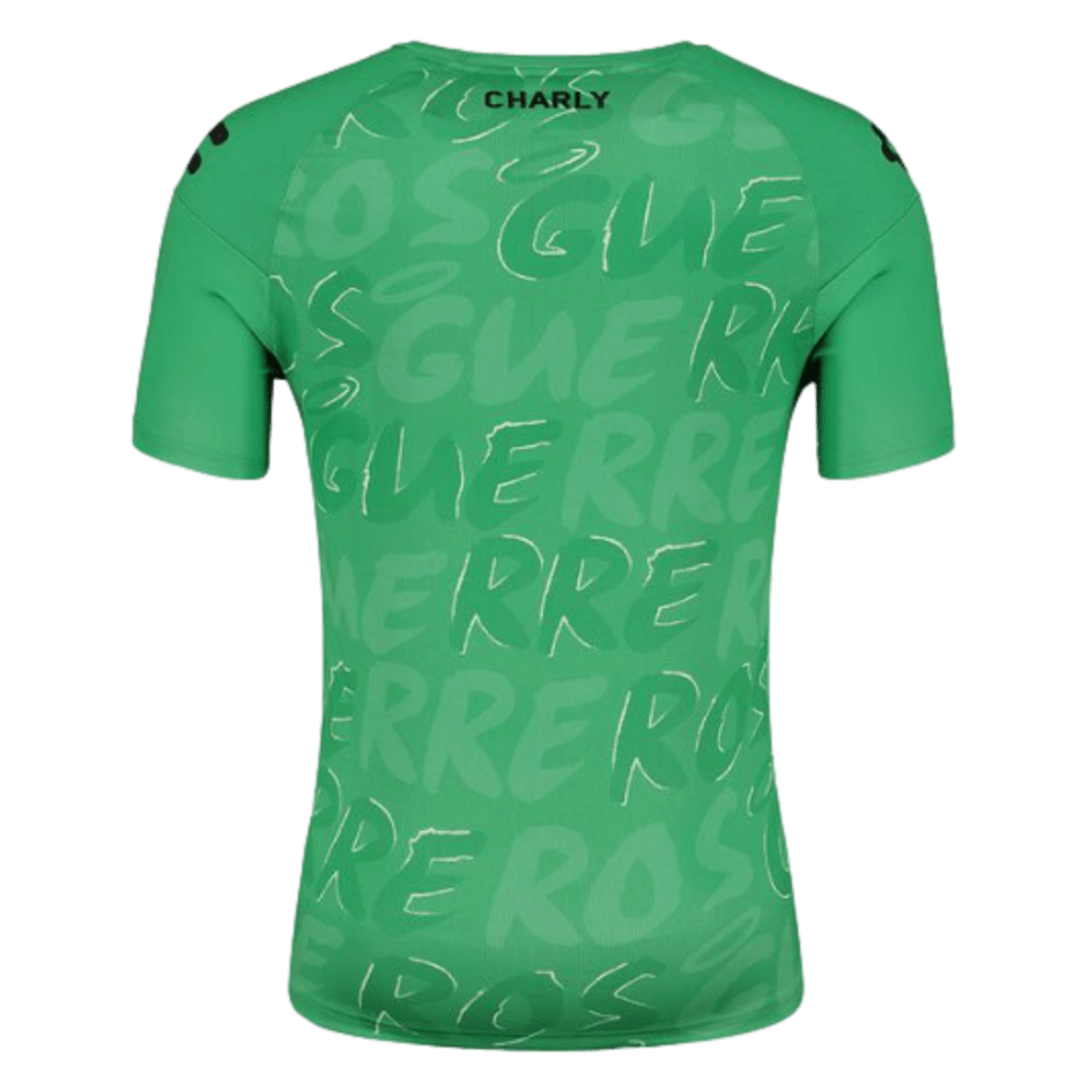 Charly Santos 23/24 Training Jersey 5095103-GRN