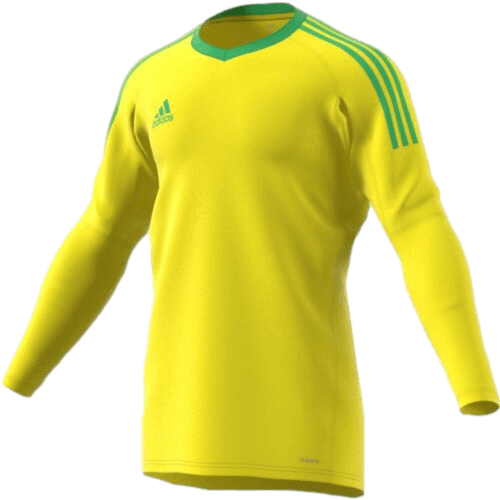 Adidas Revigo 17 Goalkeeper Jersey AZ5396