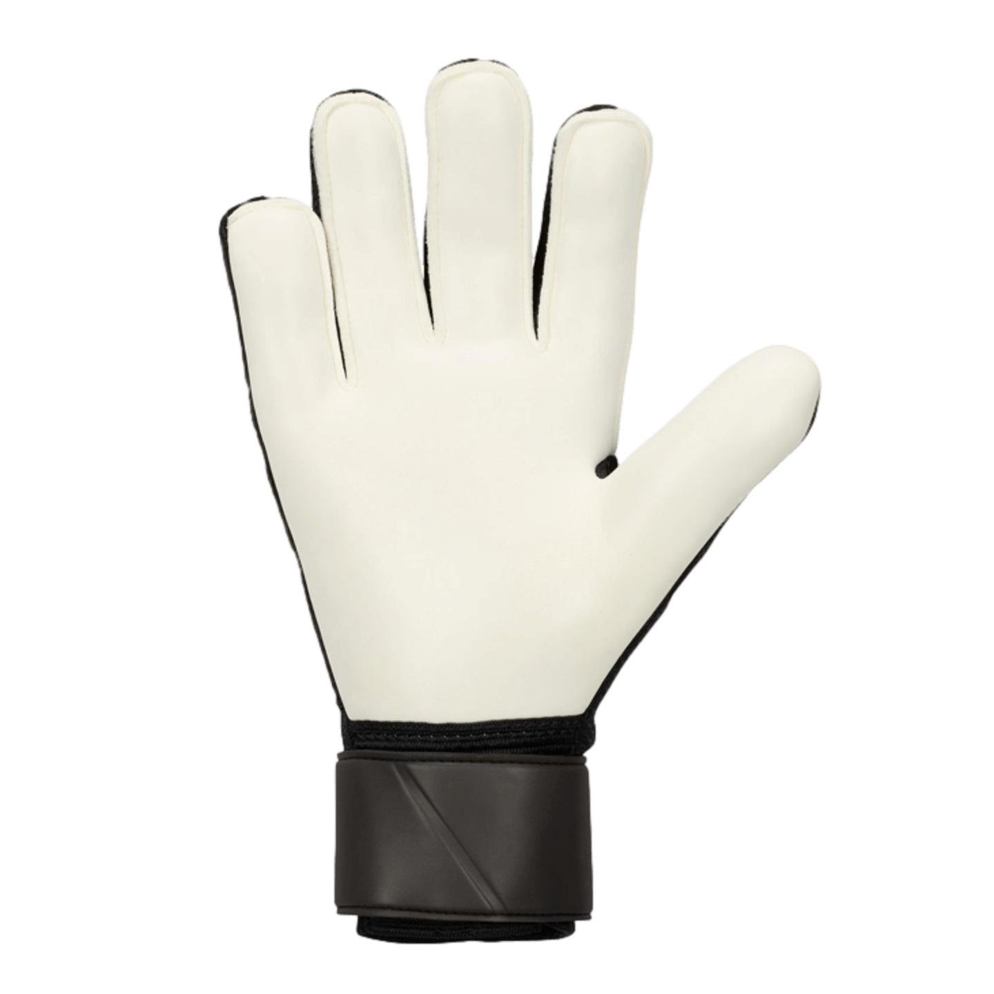 Nike Match Goalkeeper Gloves FJ4862-013