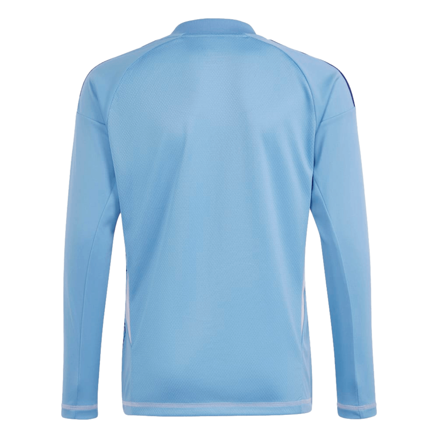 Adidas Tiro 24 Competition Youth Goalkeeper Jersey IN0434