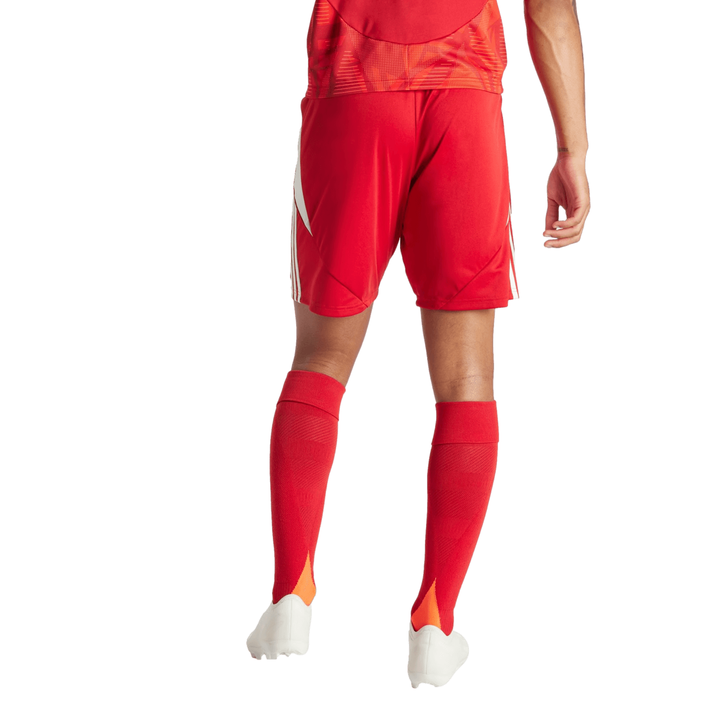 adidas Tiro 24 Shorts - Red IR9379