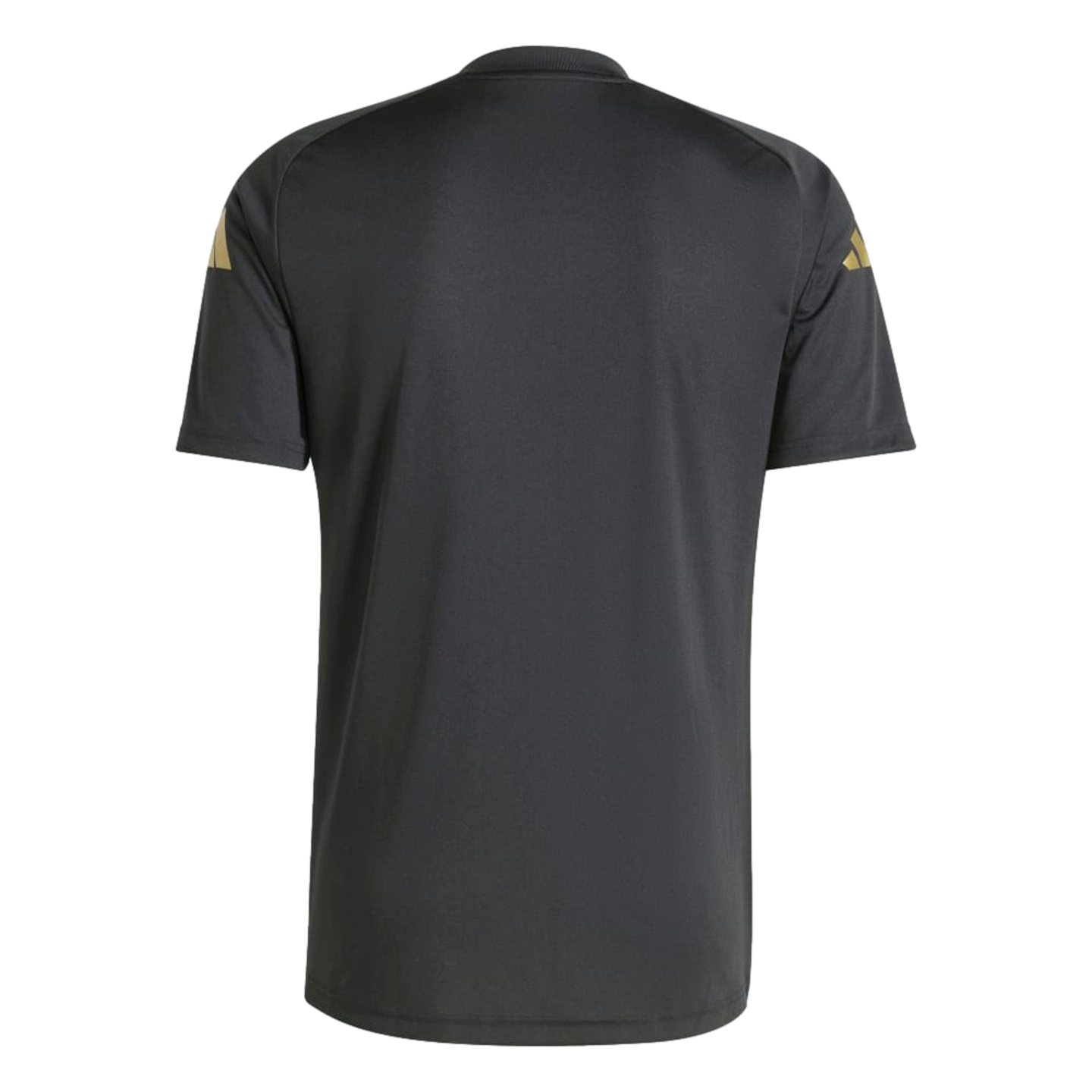 Adidas Argentina Youth Pre-Match Jersey JE3456