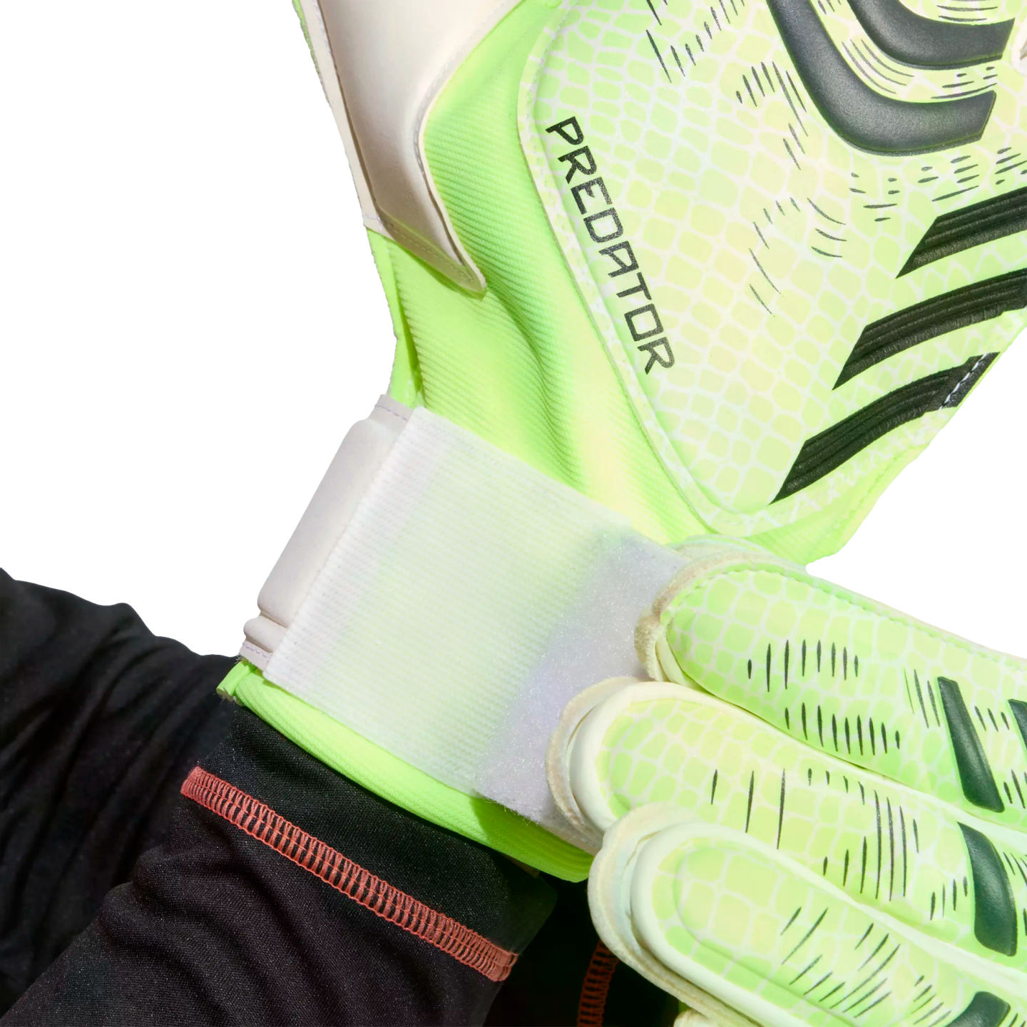 Close-up of a person fastening the white wrist strap of a lime green Predator goalkeeper glove.