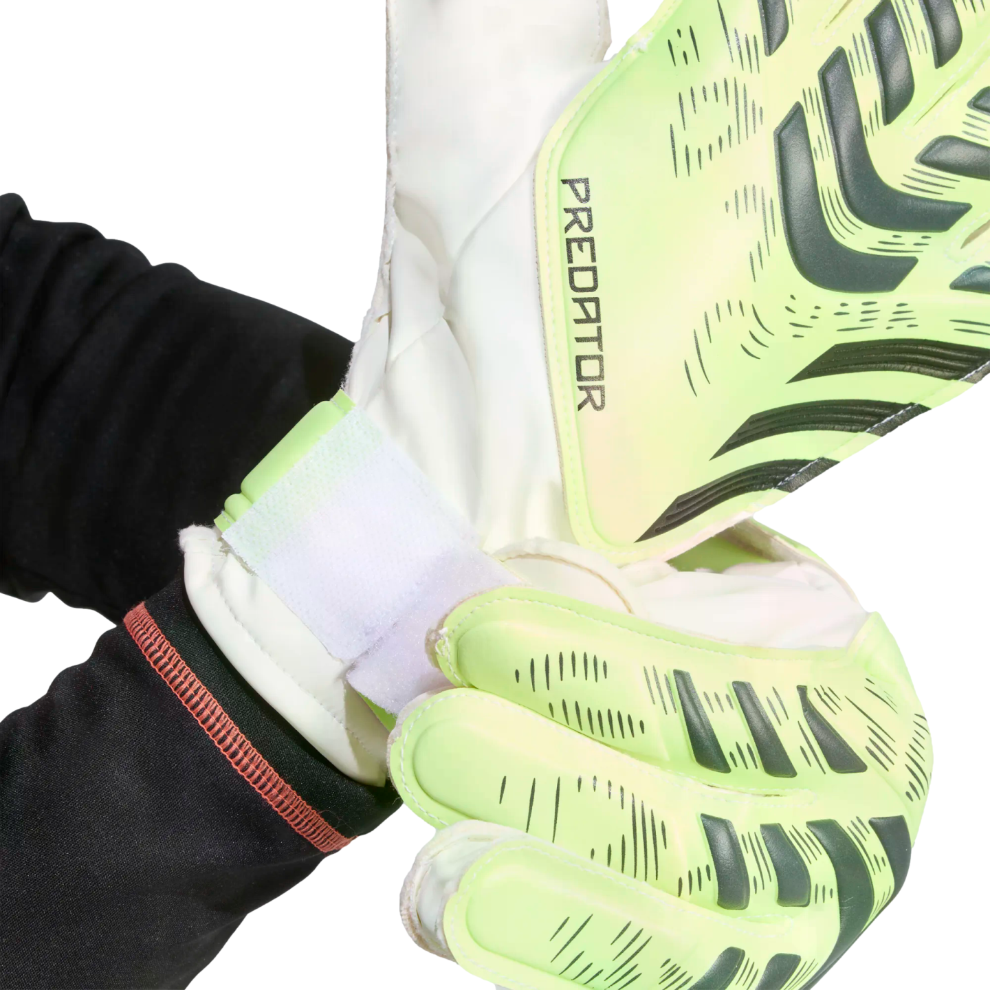 A person fastens the white velcro strap of a lime green and white Adidas Predator goalkeeper glove. The glove features dark grey textured patterns.