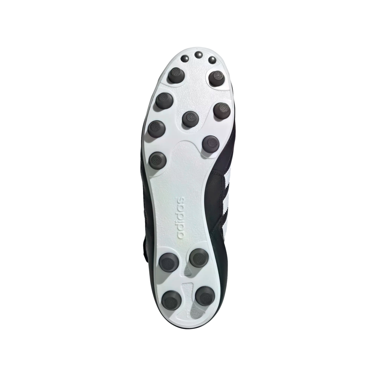 Underside of a black and white Adidas soccer cleat featuring a white soleplate with multiple black circular studs and embossed branding, set against a solid black background.
