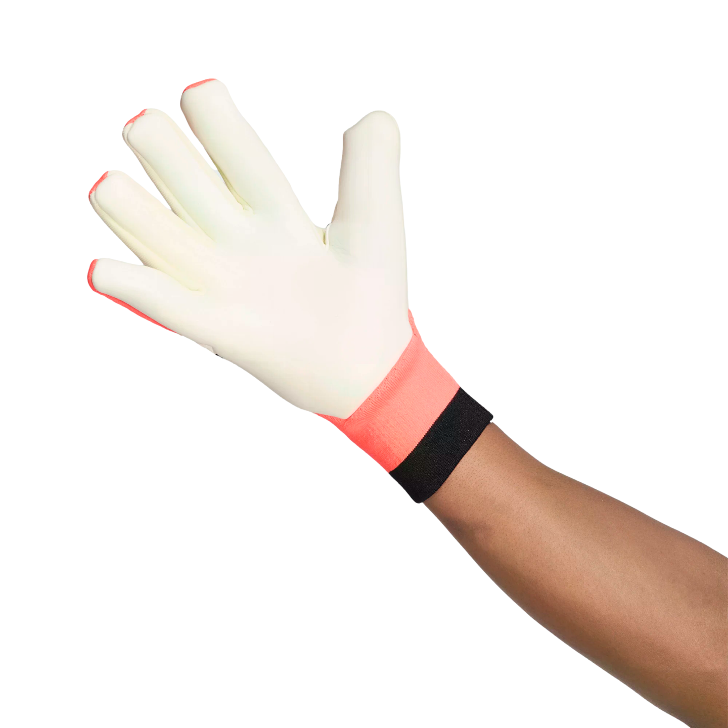 A person's arm and hand wearing a white goalkeeper glove with a coral and black wrist cuff, fingers spread open against a white background.