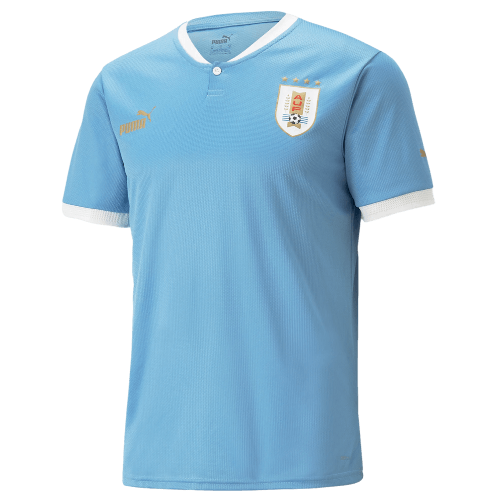 Camiseta Uruguay 2022 Uruguay 2021 Jersey Brand New Puma URUGUAY