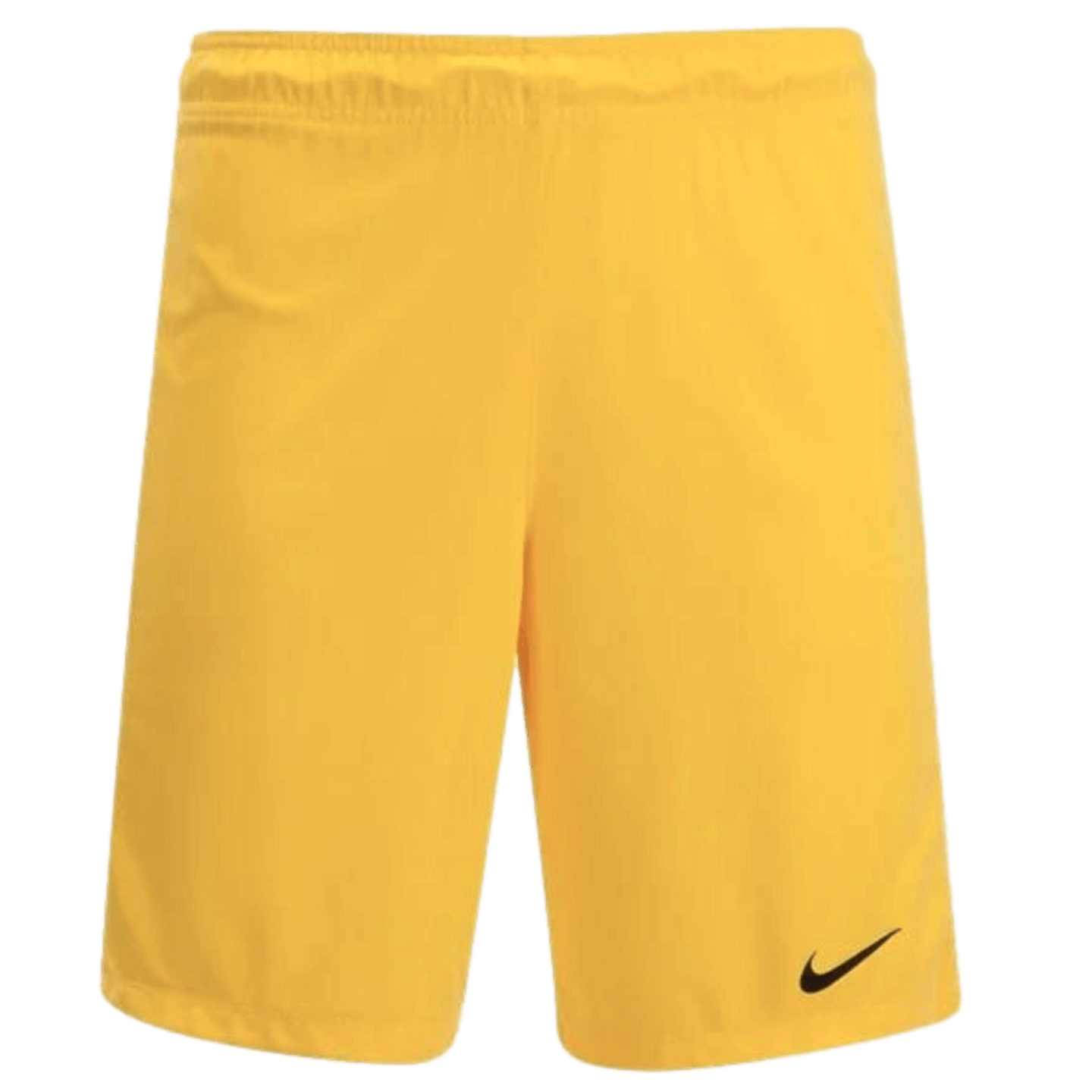 Nike League Knit Goalkeeper Shorts 725897-719