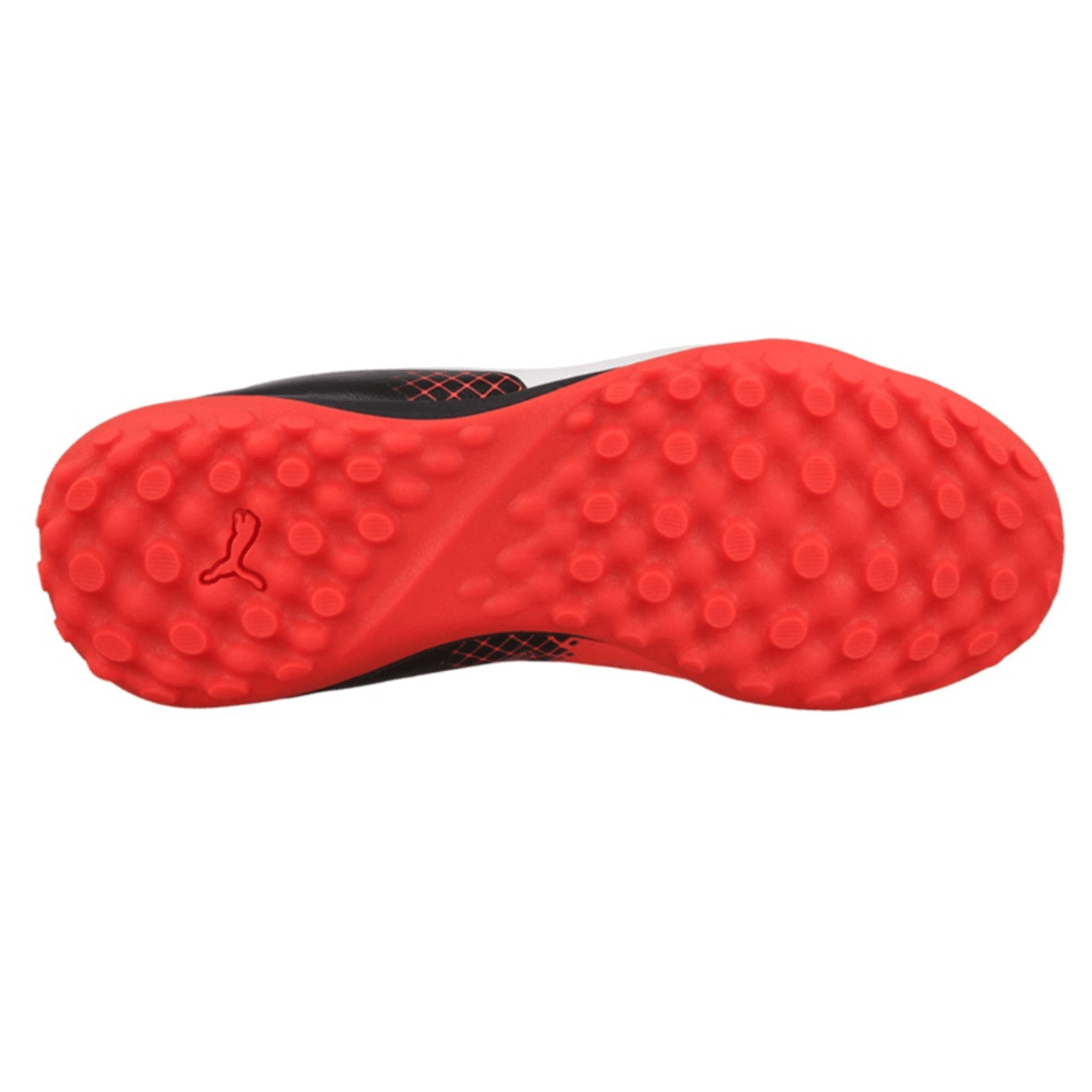 Puma Evopower 4.3 Tricks Youth Turf Shoes 103627-03