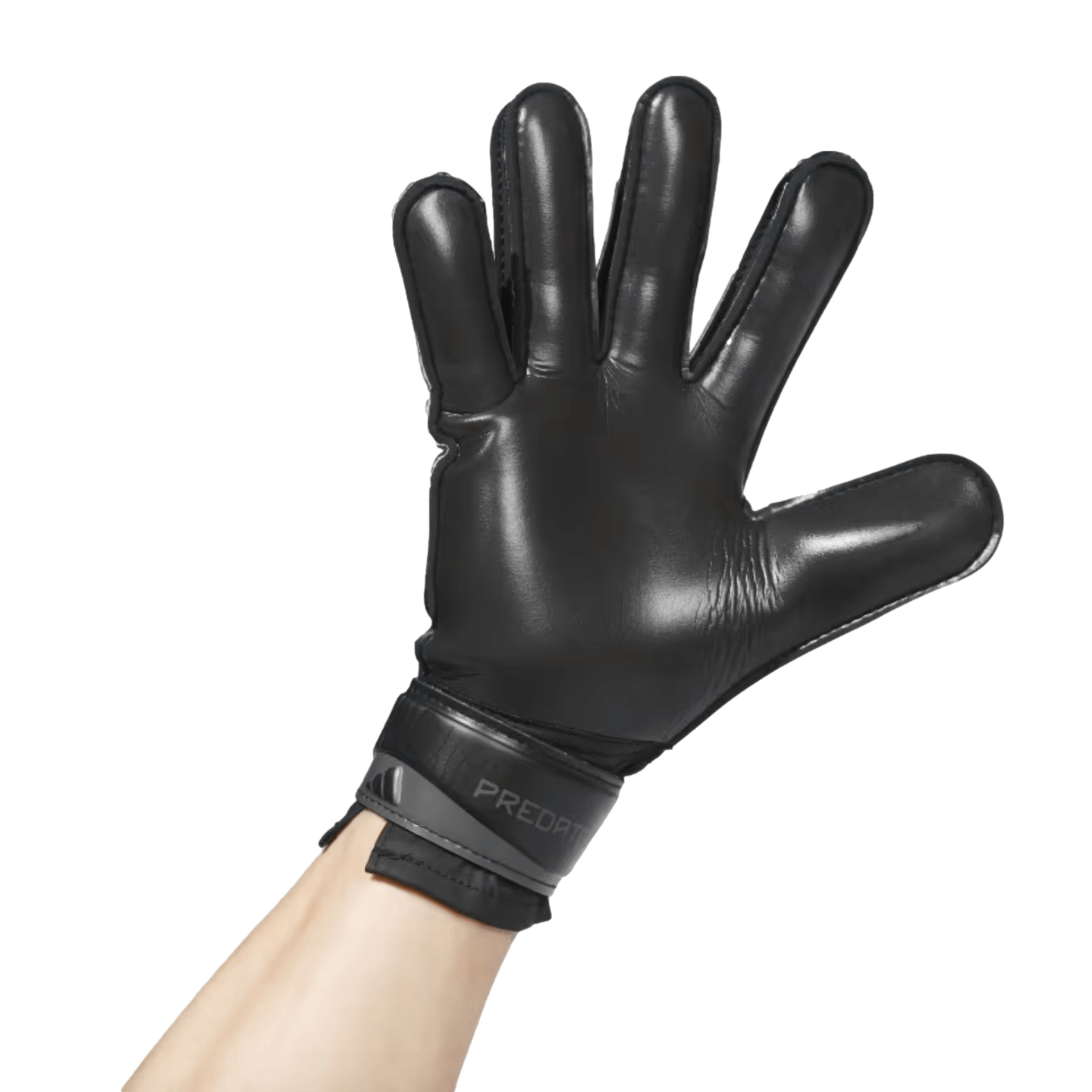 Adidas Predator Training Goalkeeper Gloves IW6280