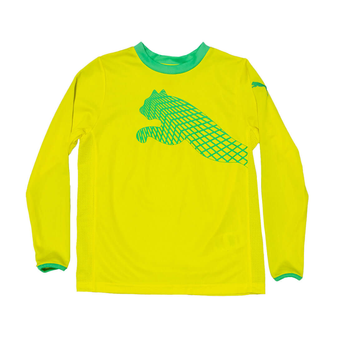 Puma Cat Youth Goalkeeper Jersey 742427-02