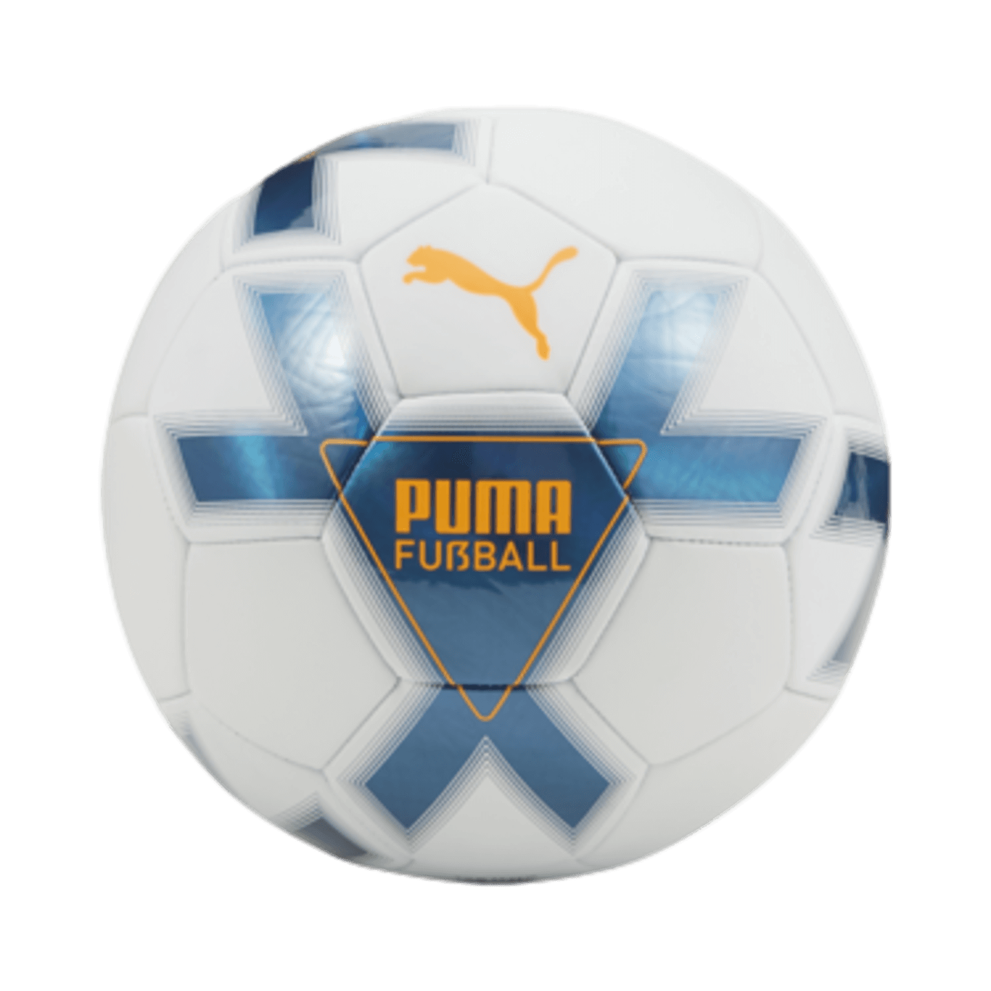 Puma Cage Soccer Ball