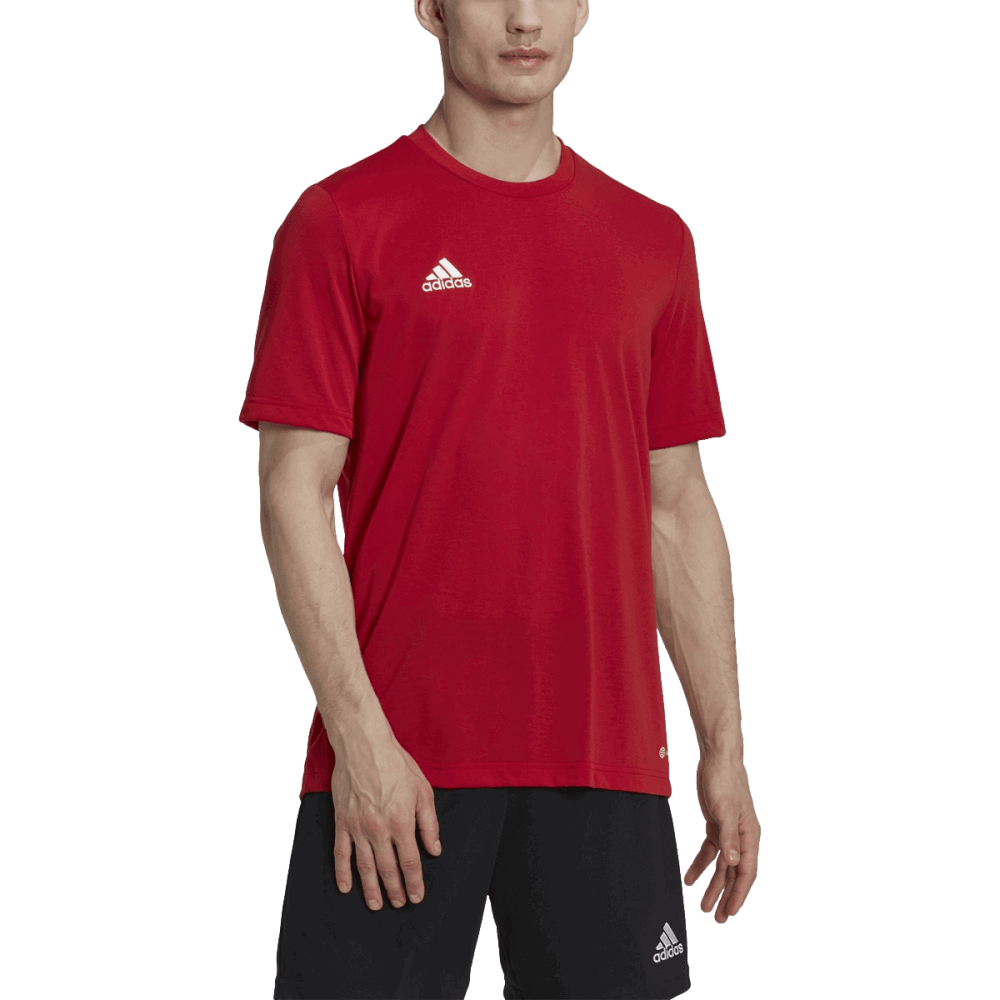 Adidas Entrada 22 Poly Tee