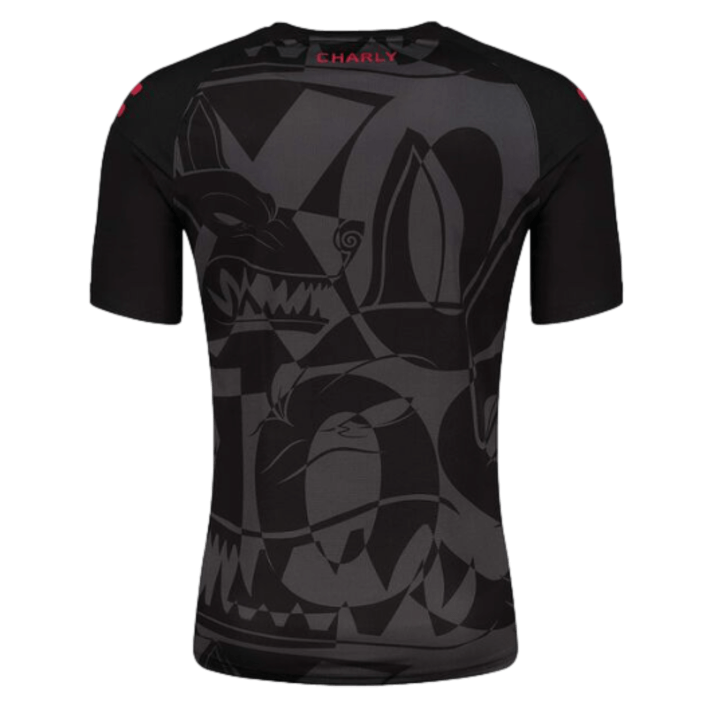 Camiseta de entrenamiento Charly Xolos 23/24