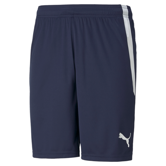 Puma Team Liga 25 Shorts [Puma Navy] 704931-06