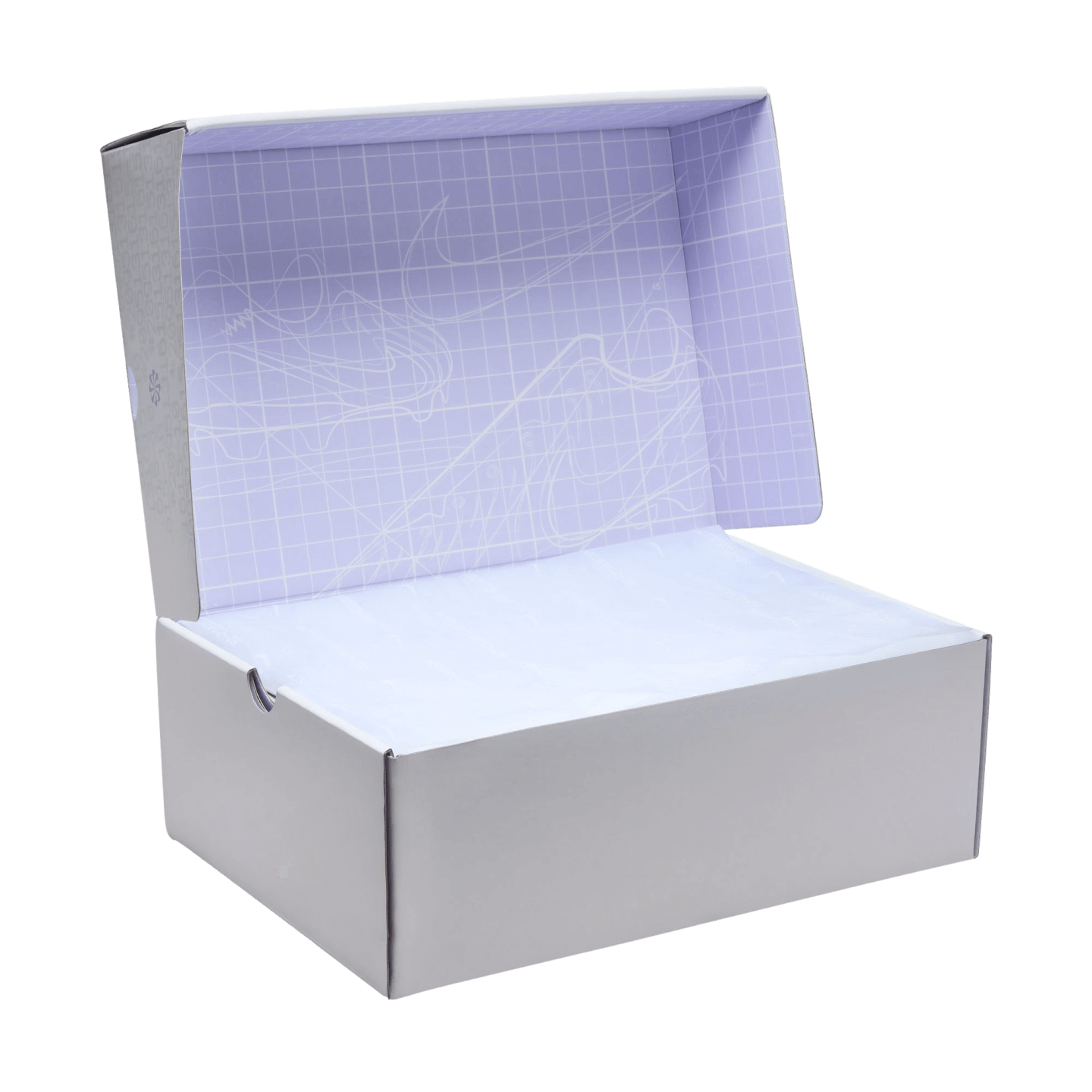 Nike Tiempo Legend 10 Elite SE Firm Ground Cleats DZ3183-100