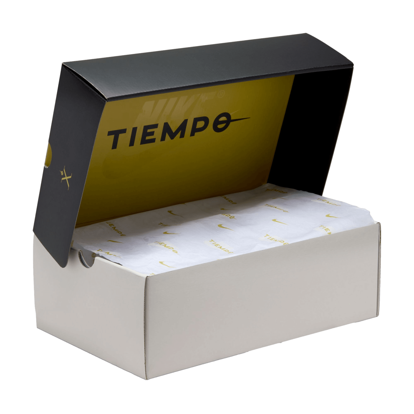 Nike Tiempo Legend 10 Elite SE Firm Ground Cleats FJ2515-900