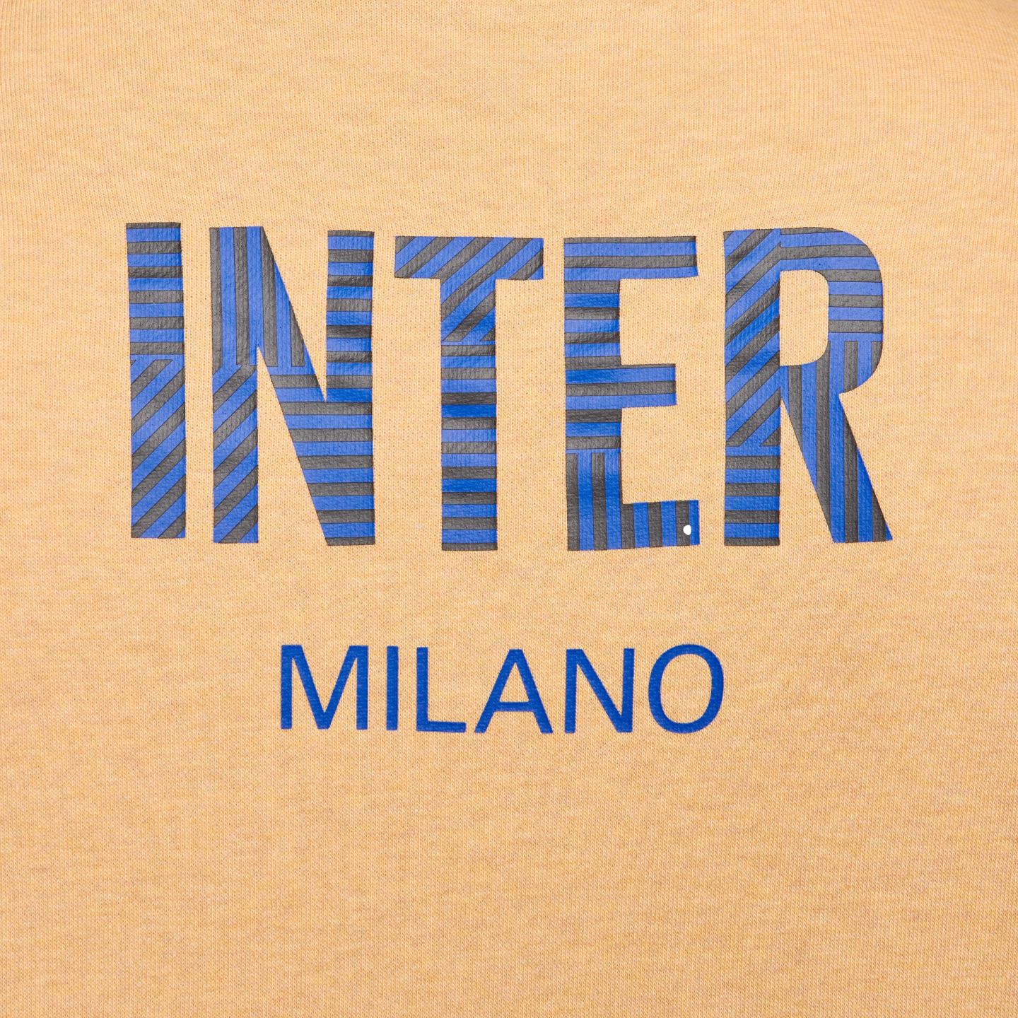 Sudadera con capucha del club Inter de Milán de Nike