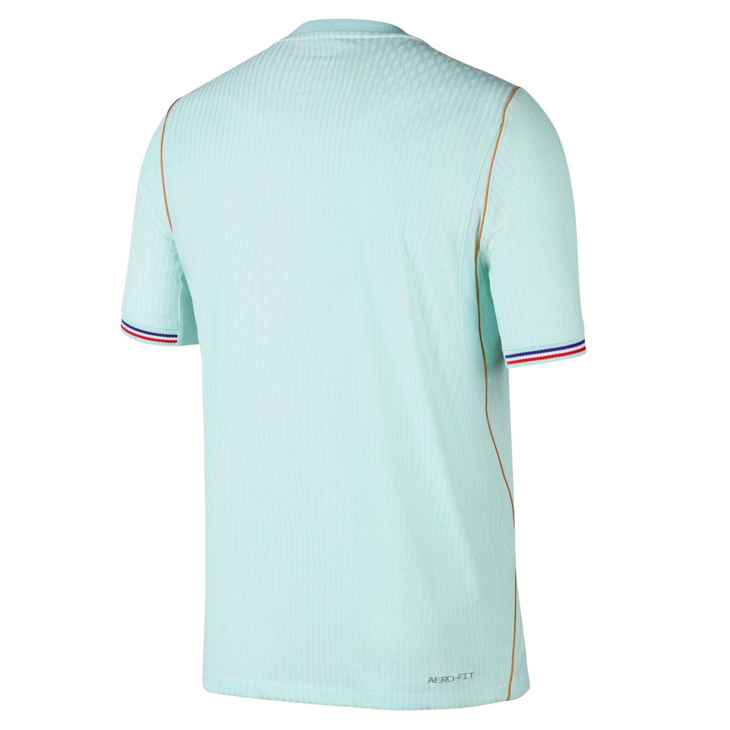 Back view of a light blue ribbed jersey with red, white, and blue striped cuffs, gold piping, and "AERO-FIT" branding on a black background.