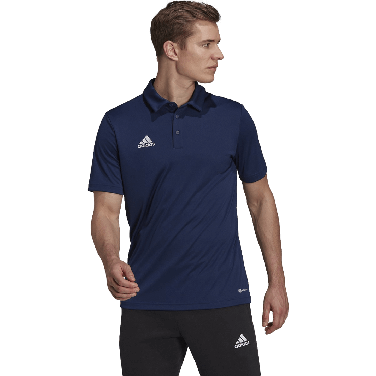 Adidas Entrada 22 Polo Tee