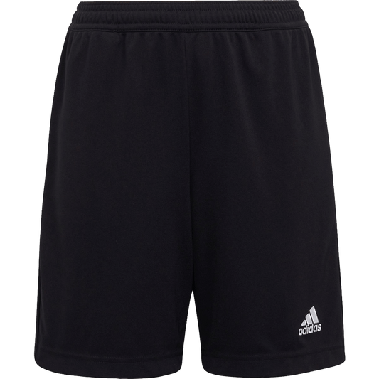 Pantalones cortos de entrenamiento para jóvenes Adidas Entrada 22