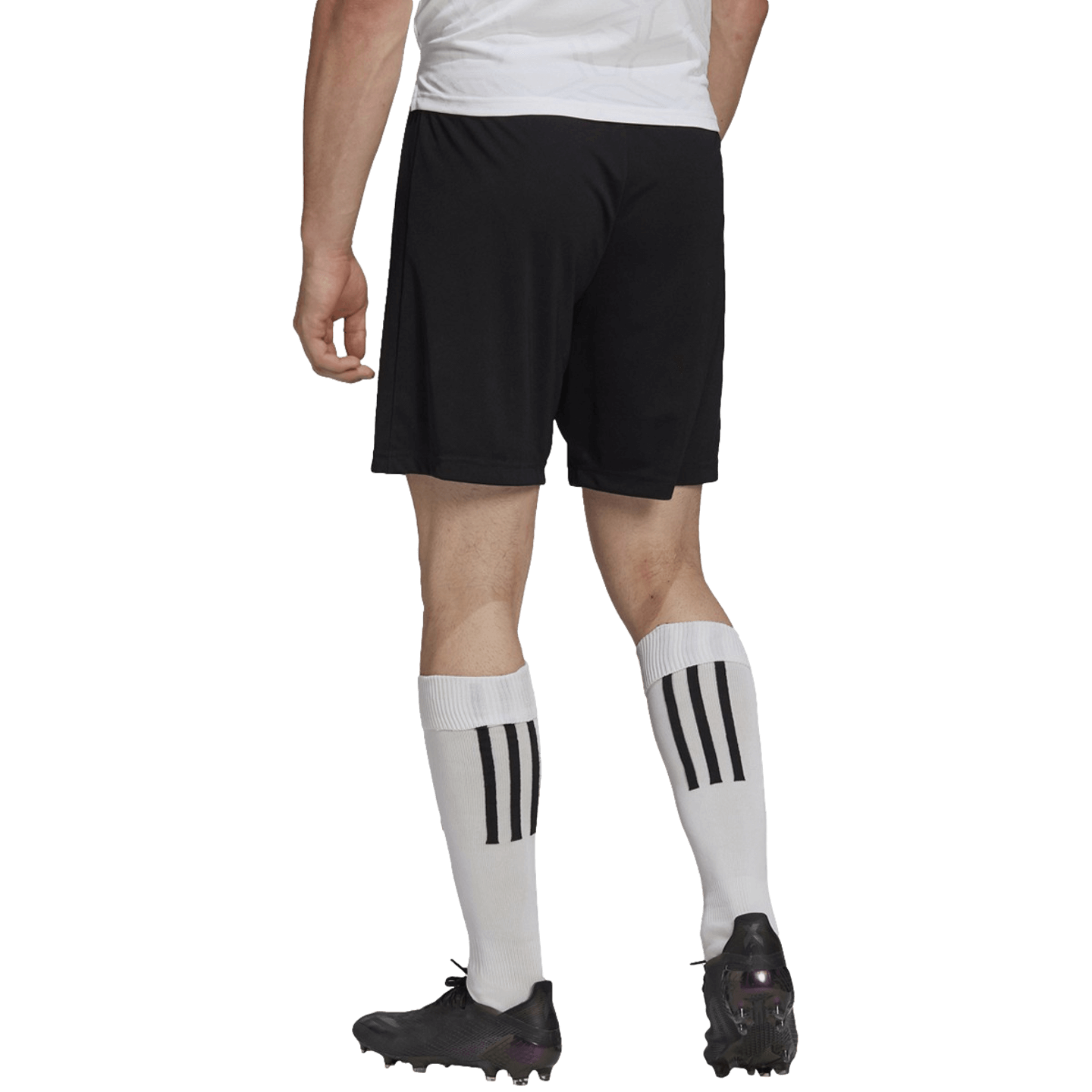 Adidas Entrada 22 Shorts