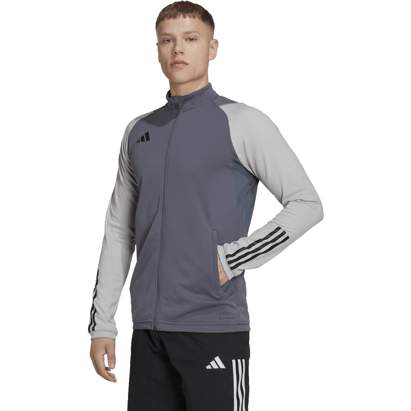 Adidas Tiro 23 Competition Training Jacket