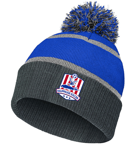 Holloway Reflective Beanie (Royal/Carbon)