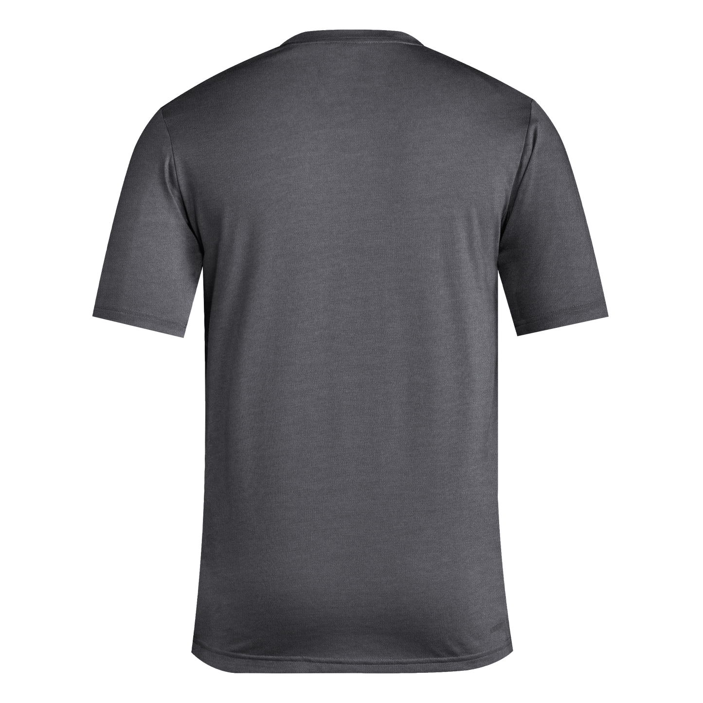 Back view of a plain charcoal grey short-sleeved crew neck t-shirt.