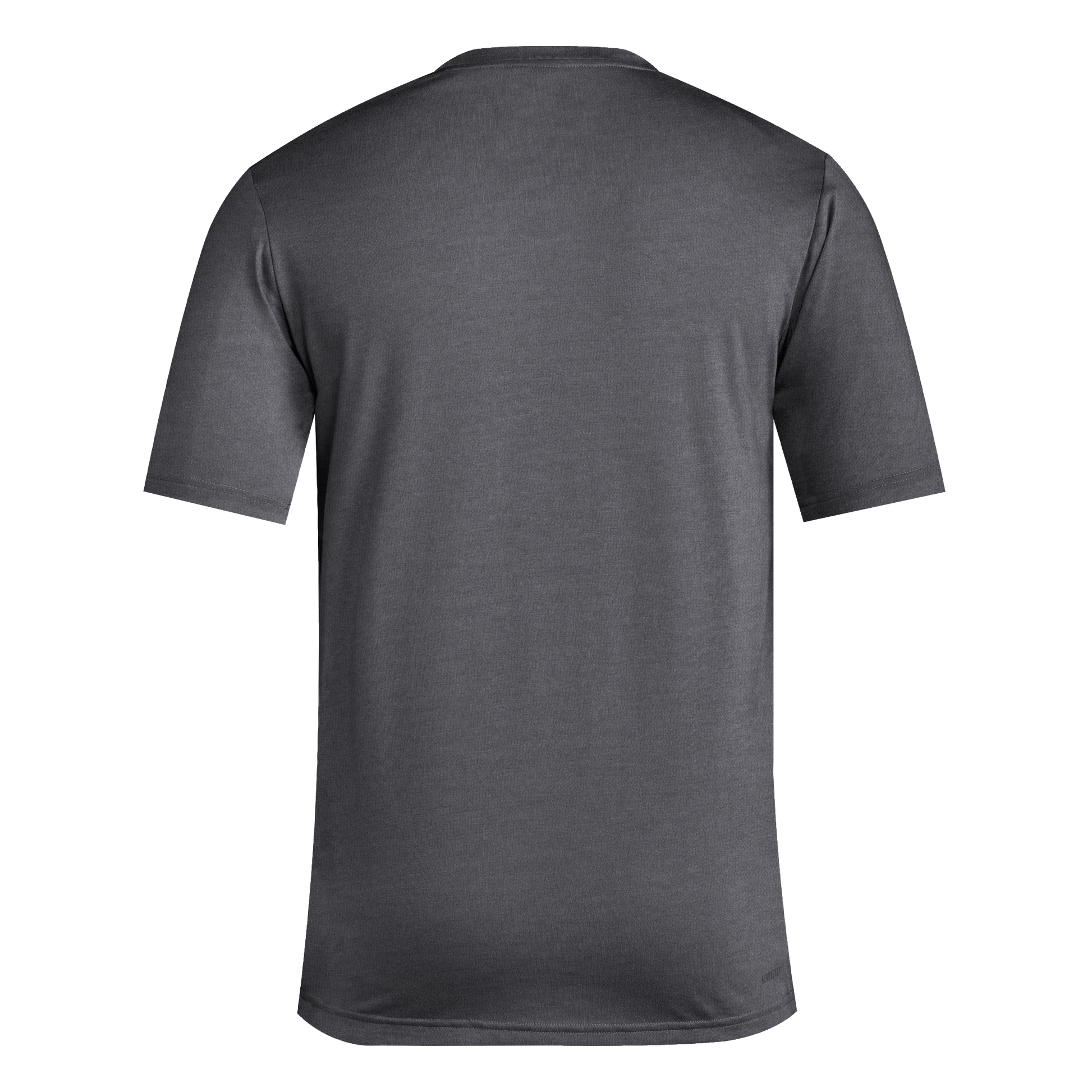 Back view of a plain charcoal grey short-sleeved crew neck t-shirt.