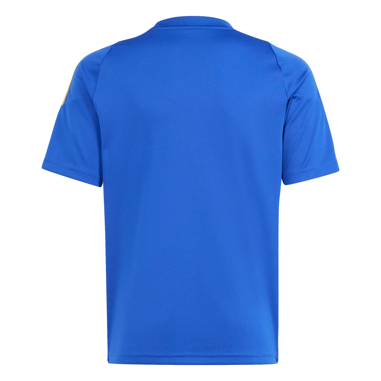 Adidas Messi Youth Training Jersey