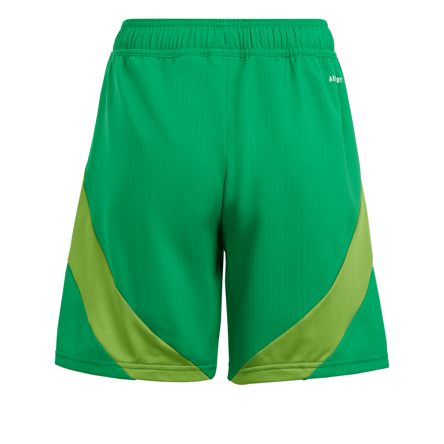 adidas Youth Tiro 24 Competition Match Shorts - Green IV7234