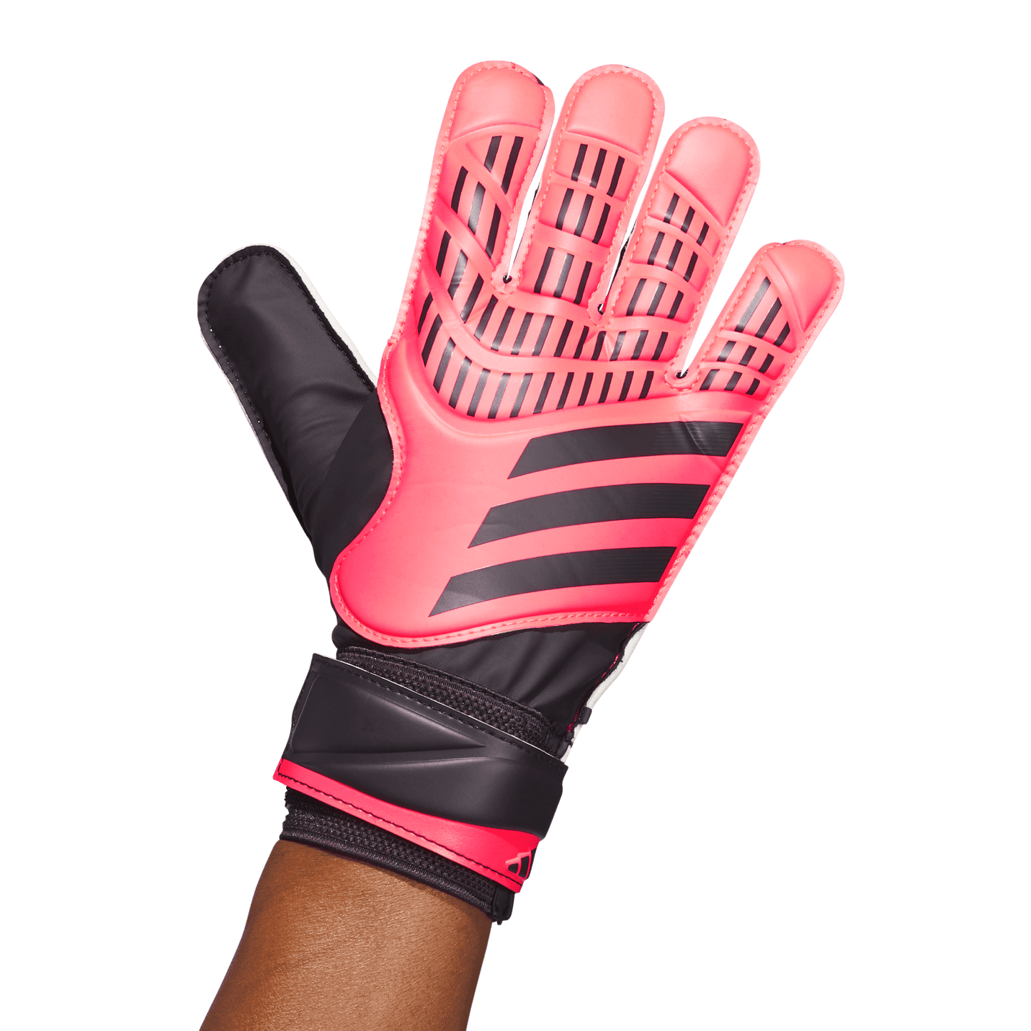 Guantes de entrenamiento para portero Adidas Predator