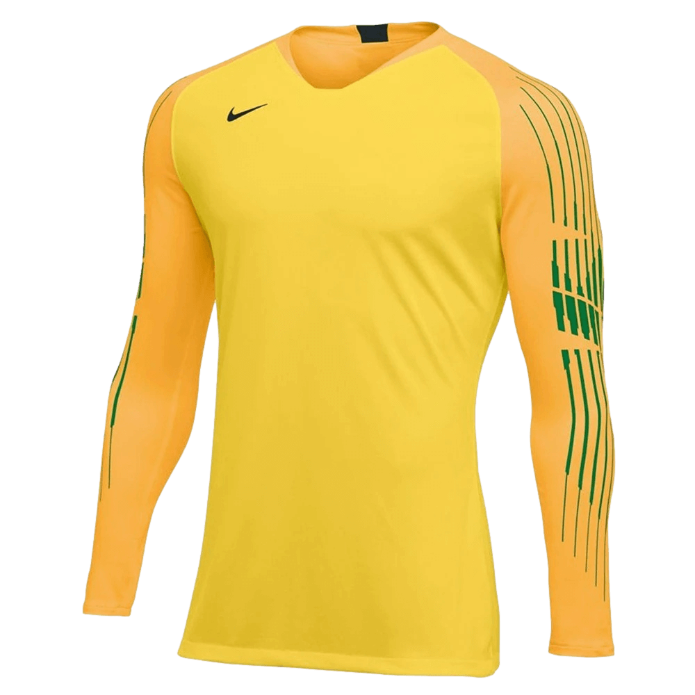 Nike Gardien 2 Goalkeeper Jersey AR9769-719