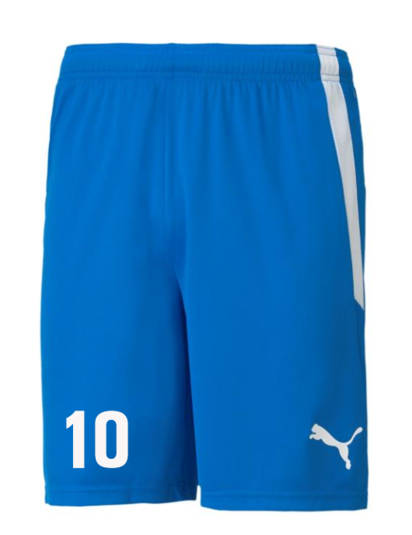 Pantalones cortos Puma Team Liga 25