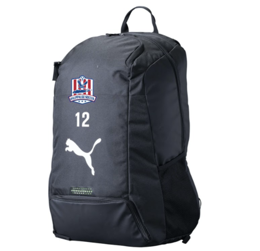 Puma Team Goal 23 Backpack (Black)