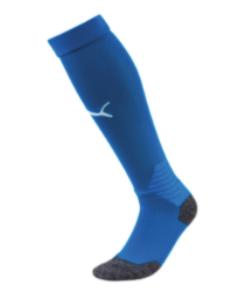 Puma Team Liga Socks