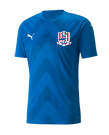 Puma Team Glory Jersey