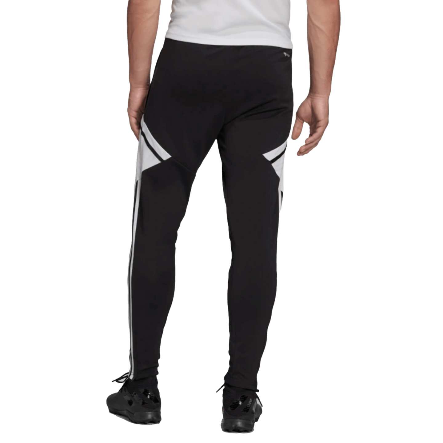 Adidas Condivo 22 Training Pants