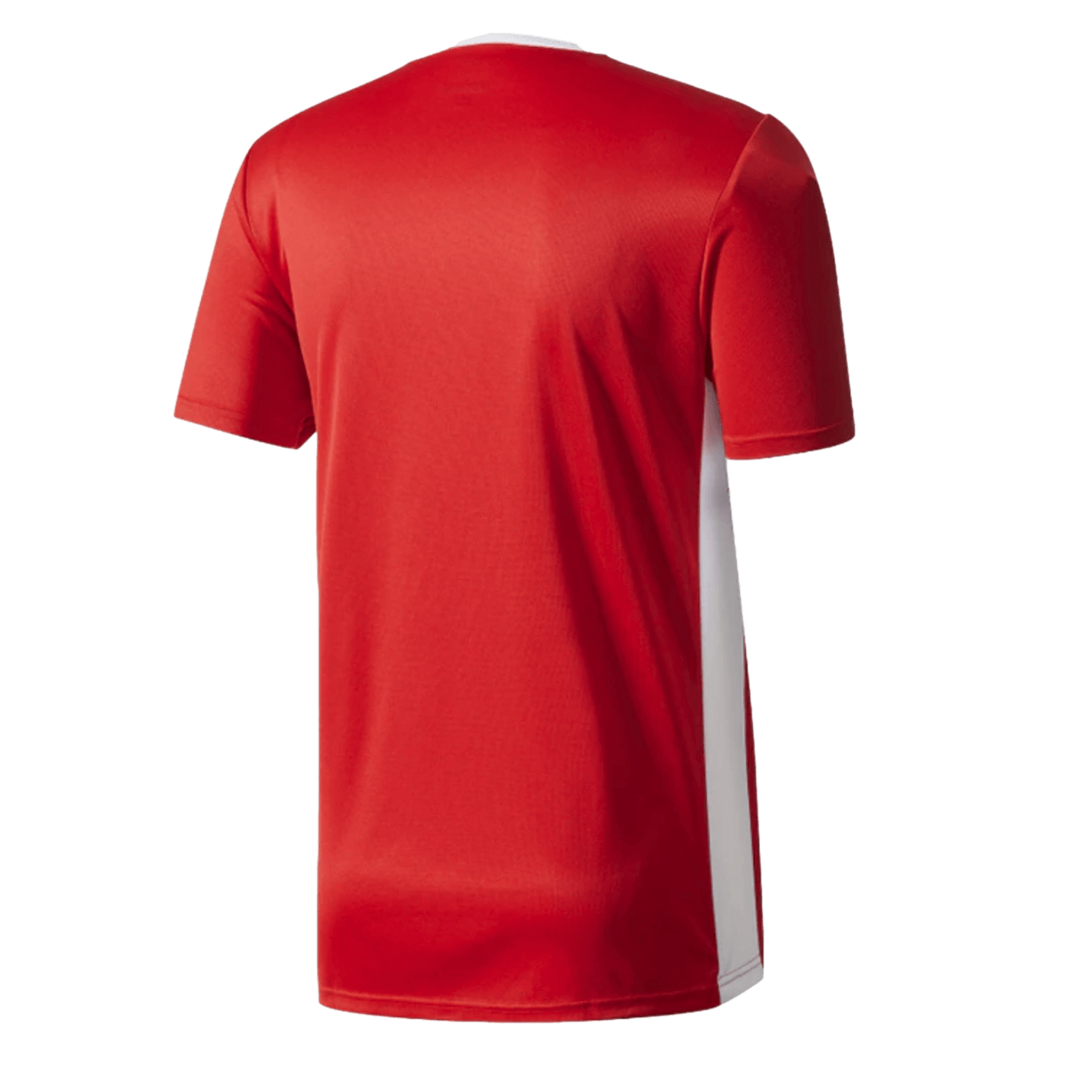 Camiseta adidas Entrada 18