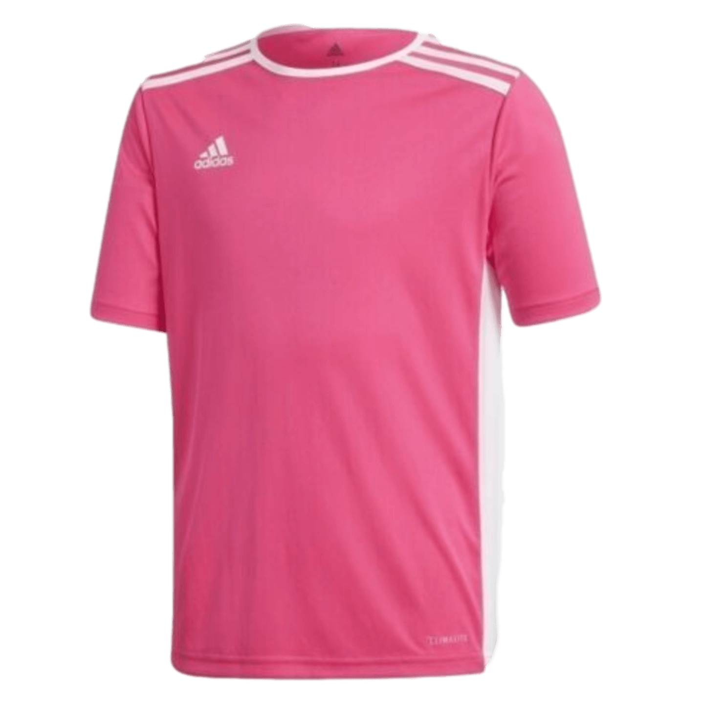 Adidas Entrada 18 Youth Jersey