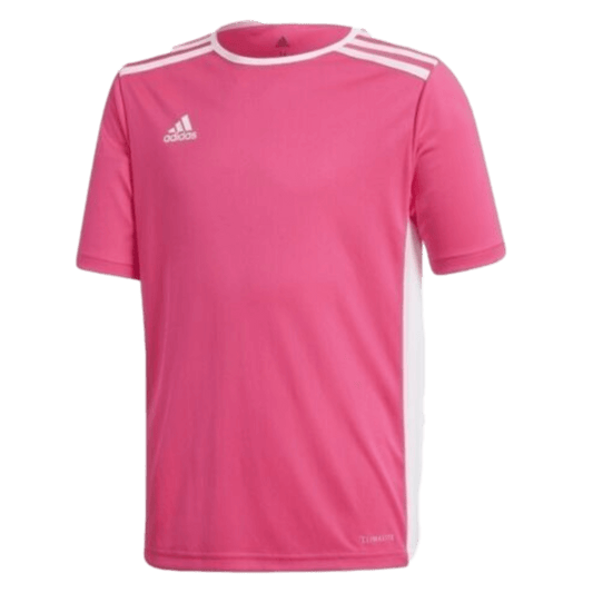 Adidas Entrada 18 Youth Jersey