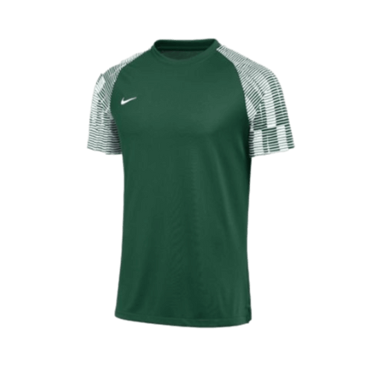 Nike Dri-FIT Academy Jersey