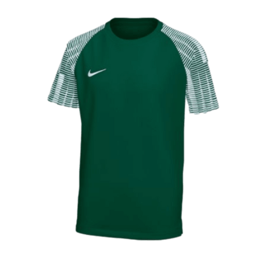 Camiseta juvenil Nike Dri-FIT Academy