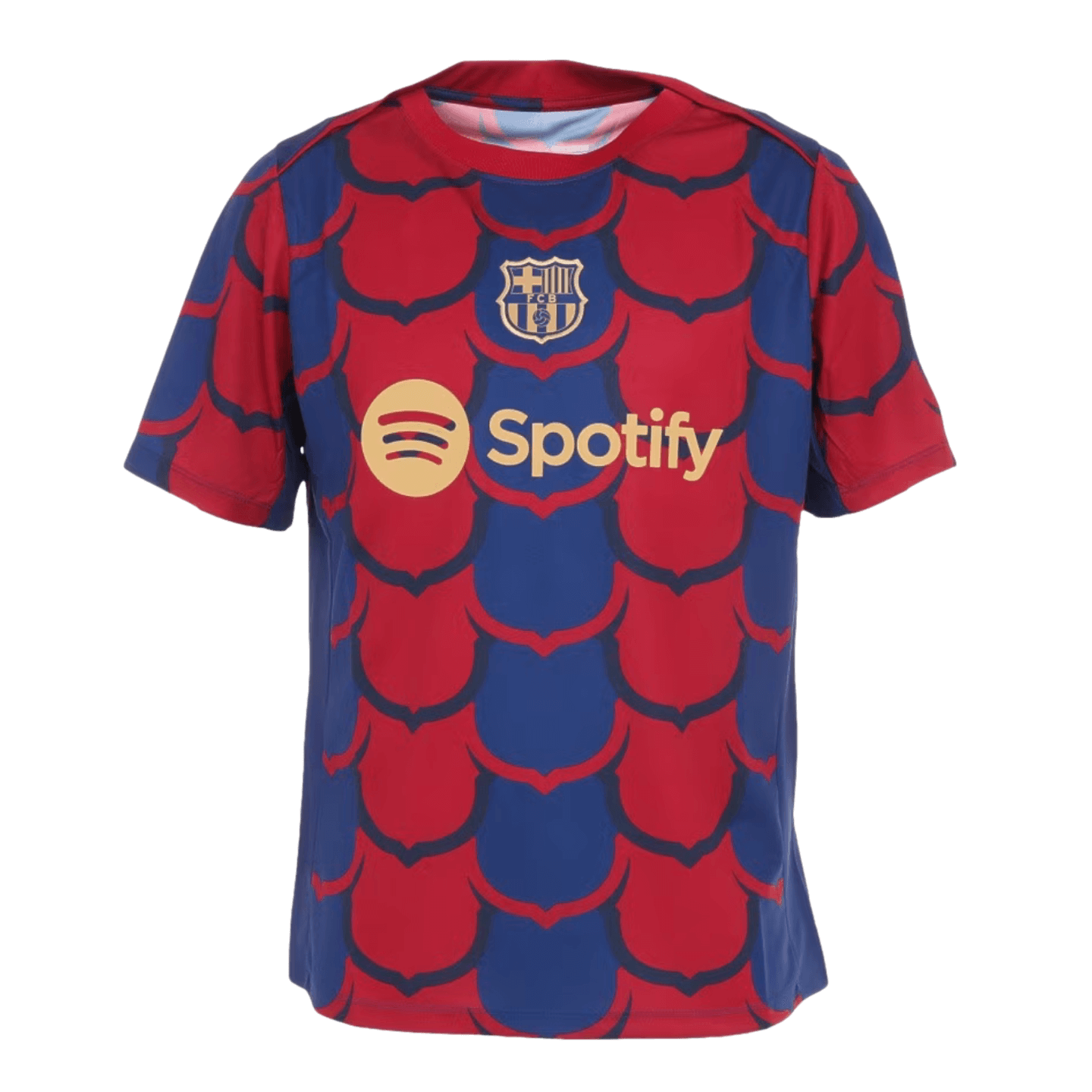 Nike Barcelona Academy Pre-Match Jersey