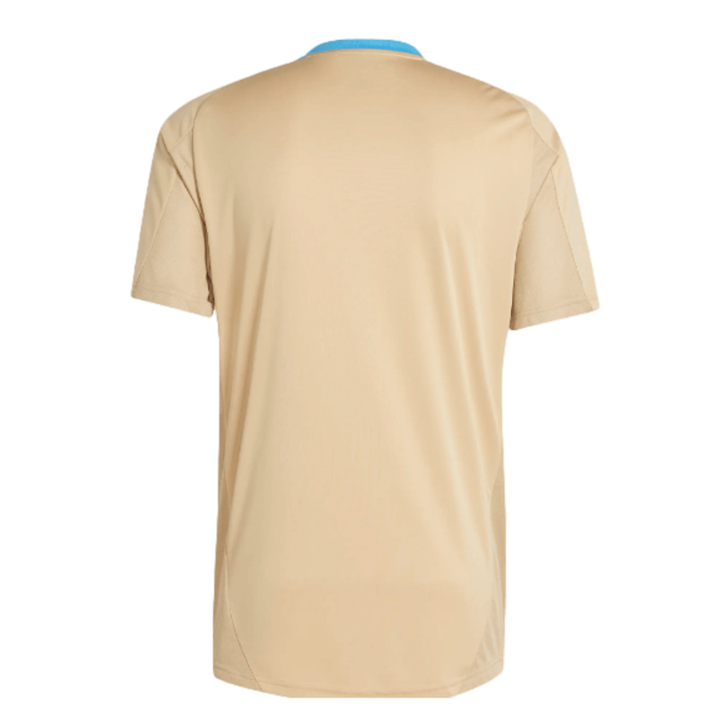 Camiseta de entrenamiento Argentina de Adidas