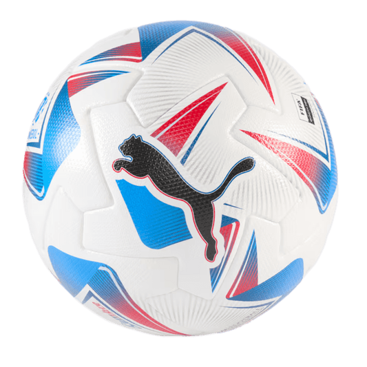 Puma Cumbre CONMEBOL Copa America FIFA Match Ball